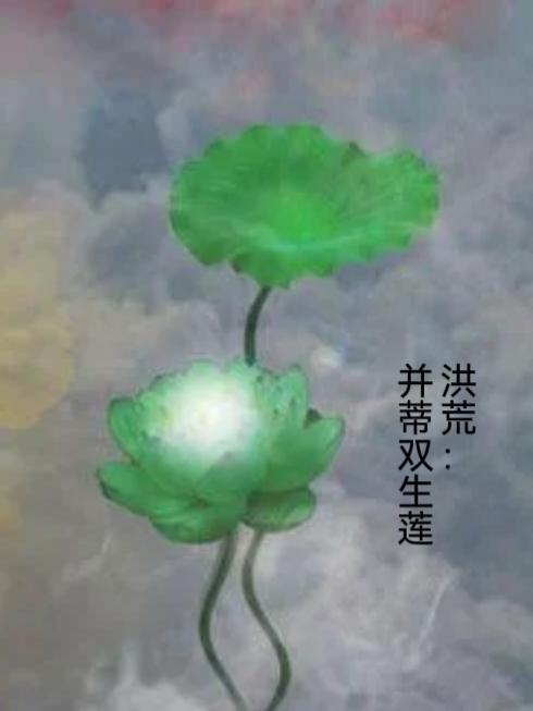 洪荒之雙生并蒂蓮