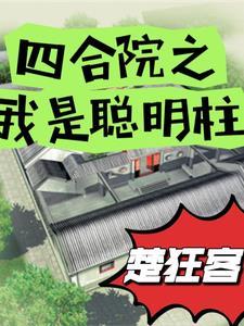 四合院 我傻柱 开局神级选择