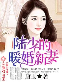 陸少的暖婚新妻正版