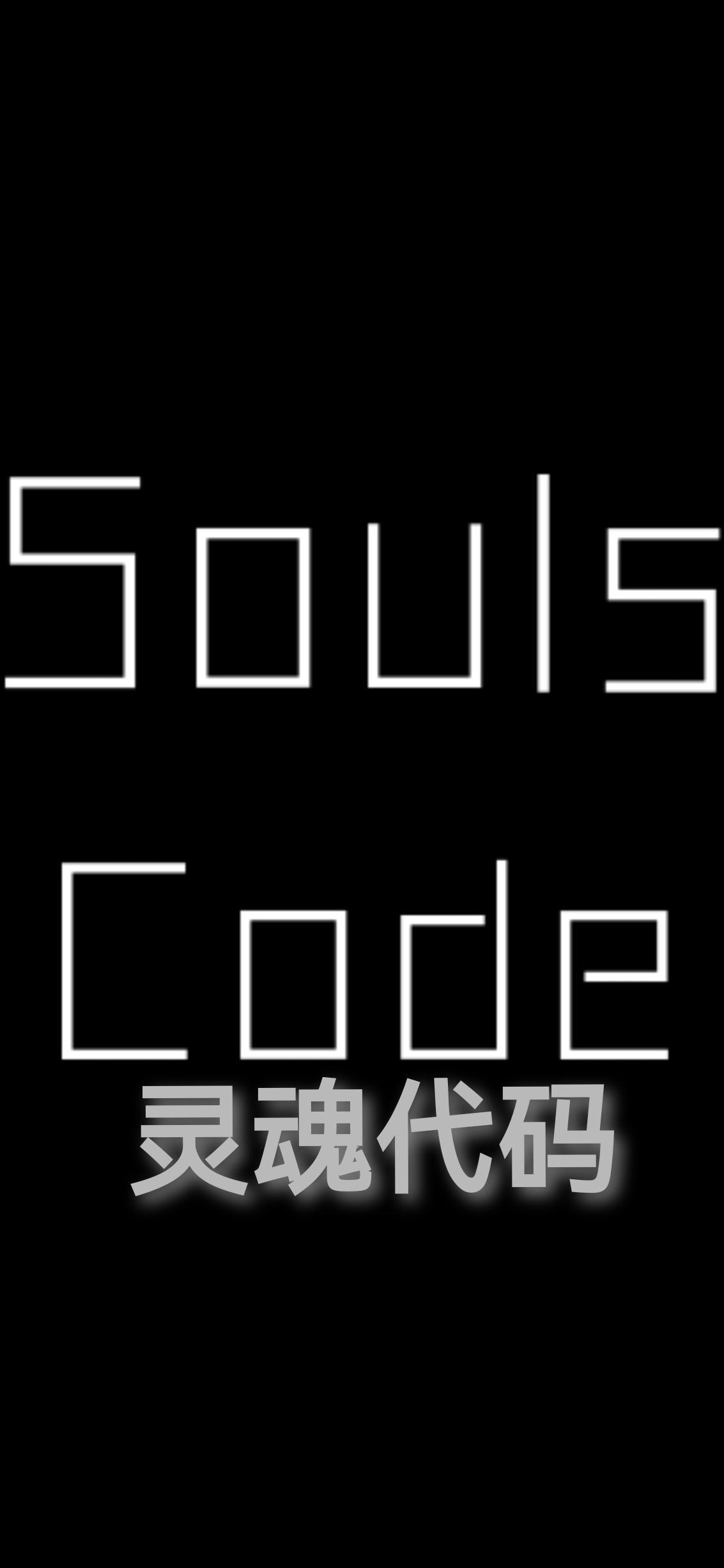 soul靈魂号是什麼