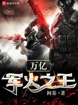 軍火之王全文免費閱