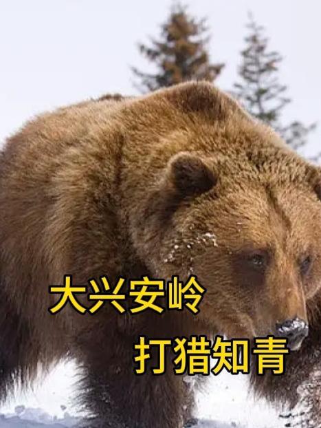 大興安嶺打獵知青